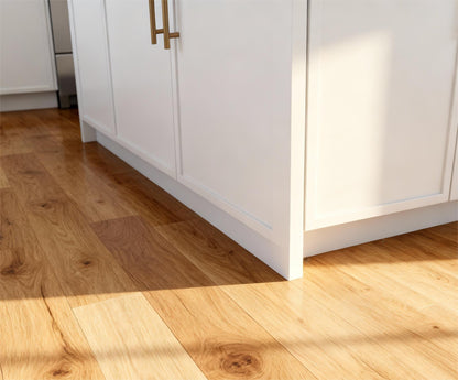 Frost White Slim Shaker 10x10 Kitchen