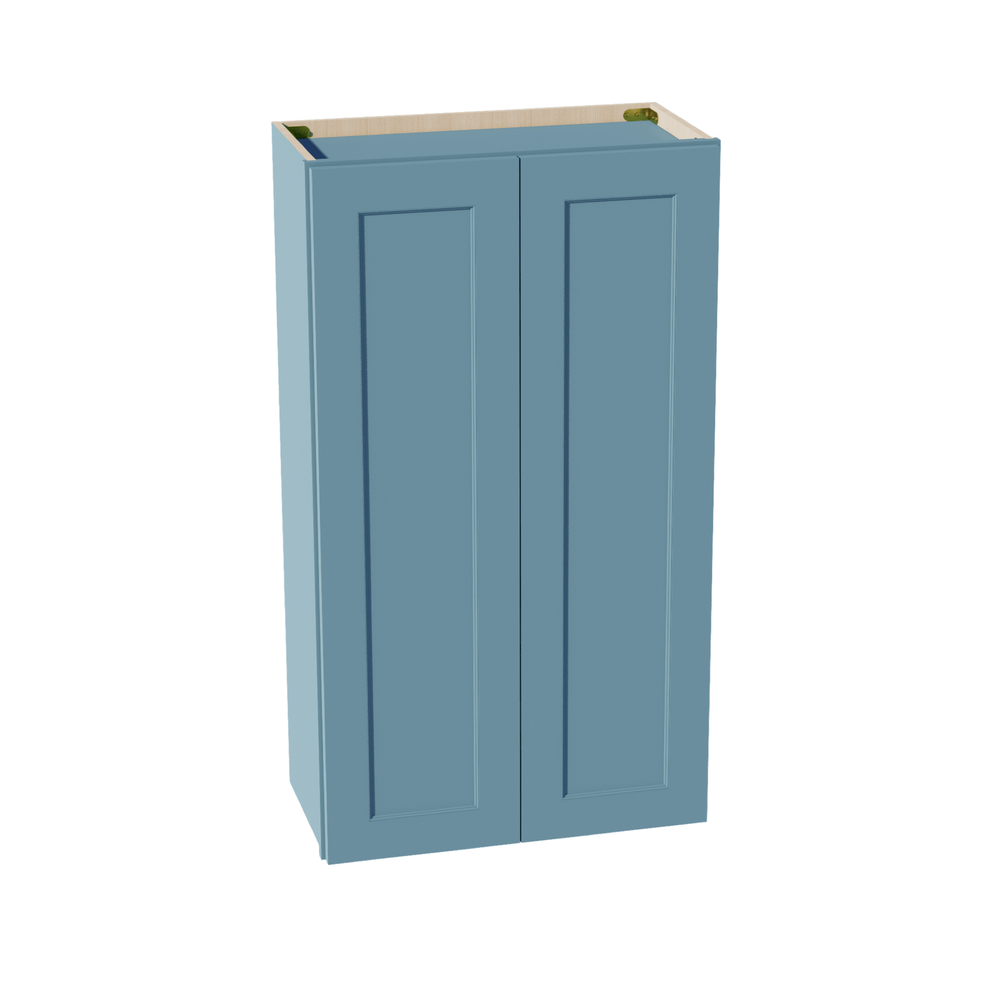 TG - W2442: Soft Green Shaker 24"W x 42"H 2 Doors & 3 Shelves Standard Wall Cabinet - NextCabinets